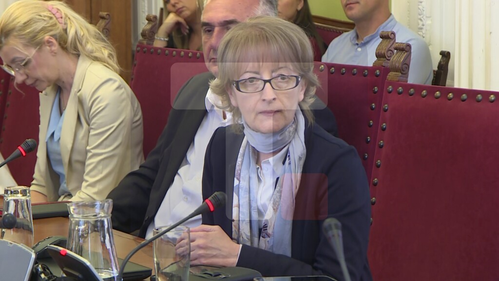 Raguš: Nedopustiva politizacija nasilja nad decom, moramo naći najmanji zajednički imenitelj