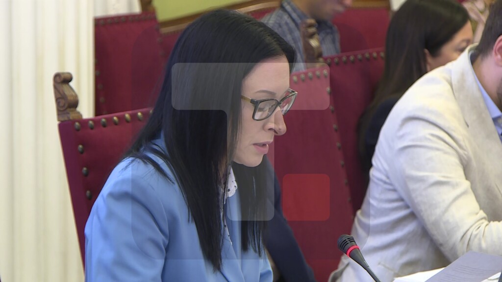 Žarić Kovačević: Država se obavezala da obezbedi zaštitu deteta od svih oblika nasilja
