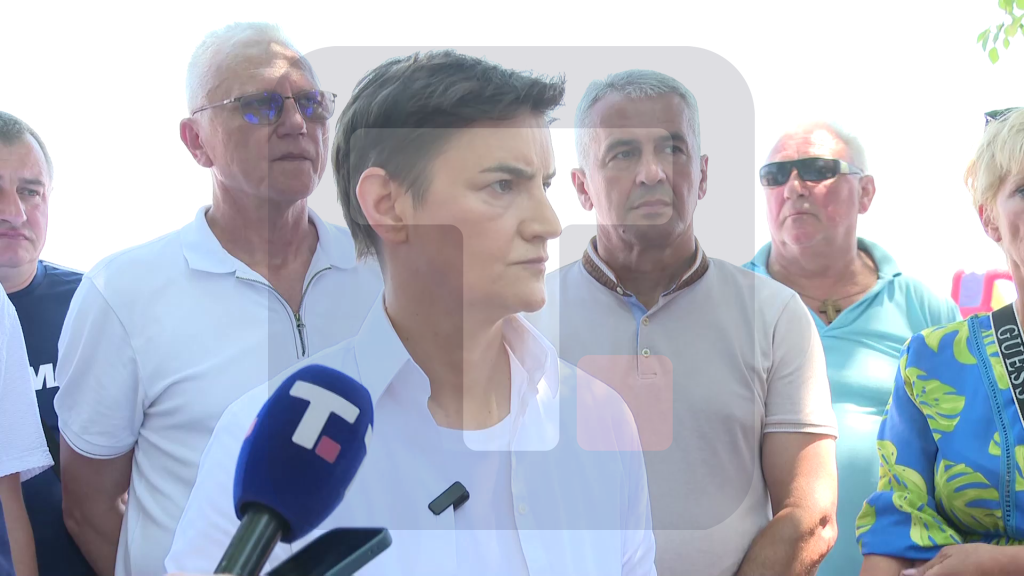 Brnabić:U svakom njihovom postupku se pokazuje koliko je sve što su uradili bila laž