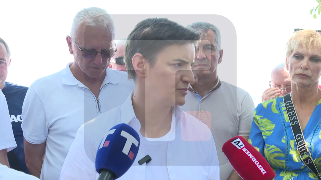 Brnabić: Razumemo da je Piculi jedina politika da sruši Srbiju