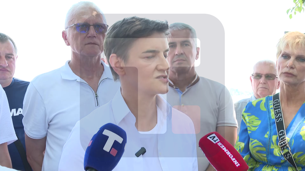 Brnabić: Ja sam ponosna što je prošla samo jedna žena kroz ove divne ljude da provocira