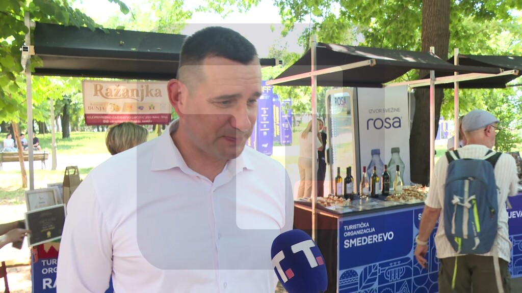 Savić: Svaka priča o Smederevu mora da započne sa Smederevskom tvrđavom, poslednjom srpskom srednjevekovnom prestonicom