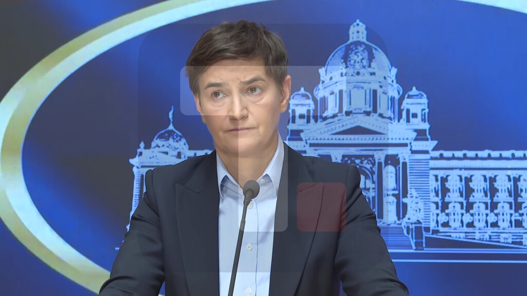Brnabić: U čitavom svetu nema kukumavki kao što imate u redovima ovih blokadera svih boja