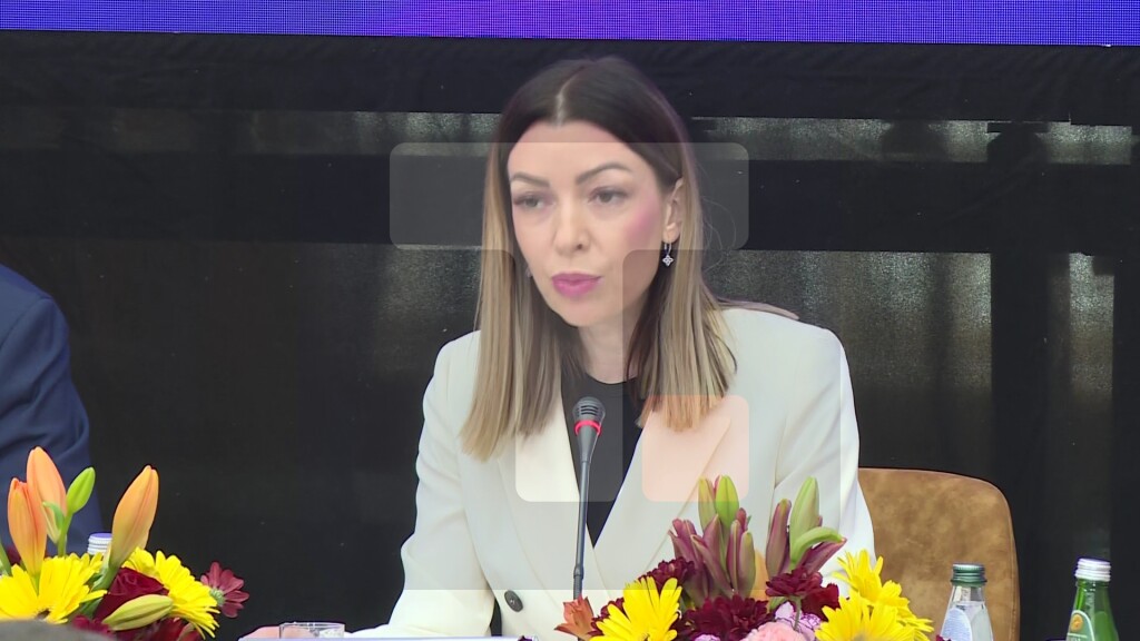 Mesarović: U vremenu velikih promena nastaju najveće razvojne prilike