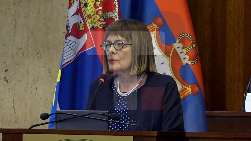 Gojković: Pokušaji blokade i zaustavljanja države imale negativan uticaj na ekonomiju