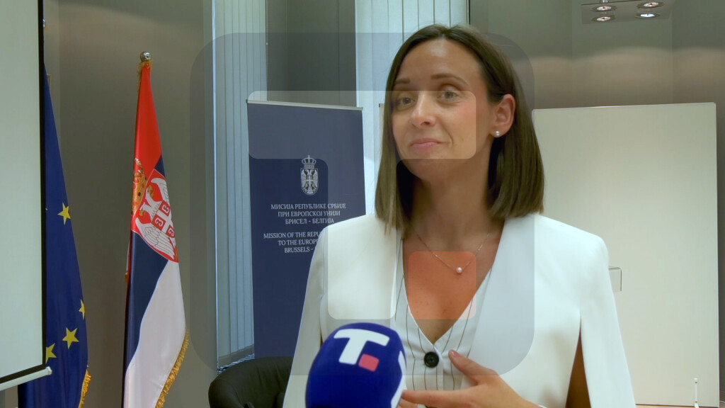 Radmilović Pjevac: Predstavili smo niz uspešnih projekata iz oblasti Dunavske strategije koje je AP Vojvodina sprovela