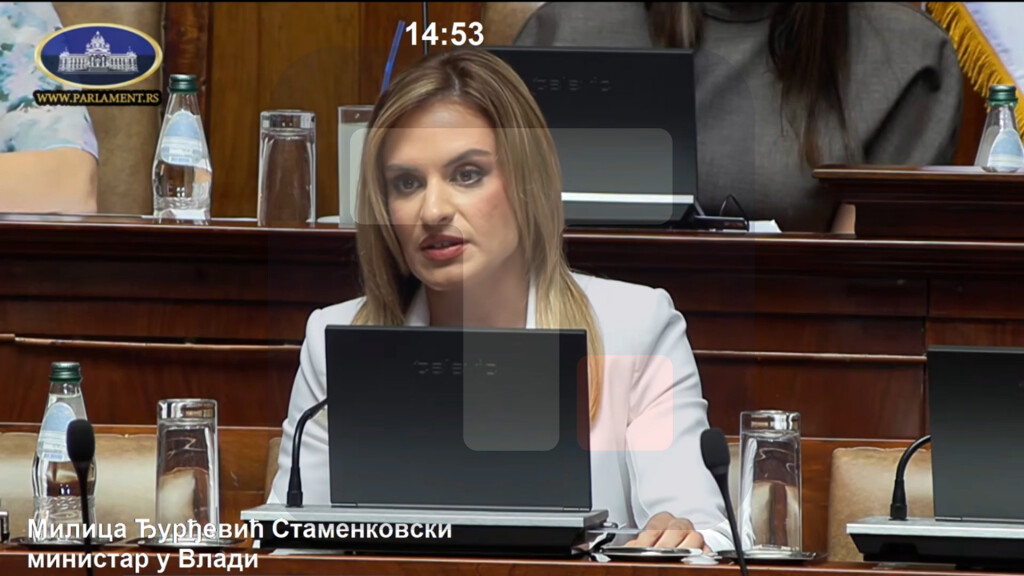 Đurđević Stamenkovski: Zakon o roditelju negovatelju istorijski iskorak