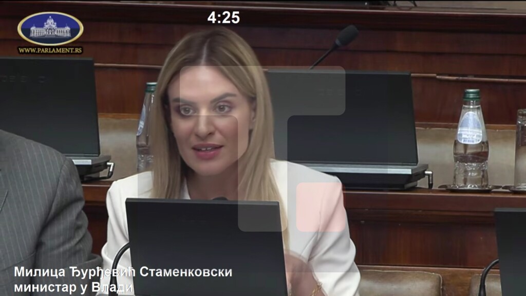 Đurđević Stamenkovski: Onog časa kada roditelj postane roditelj negovatelj, on je u radnom odnosu