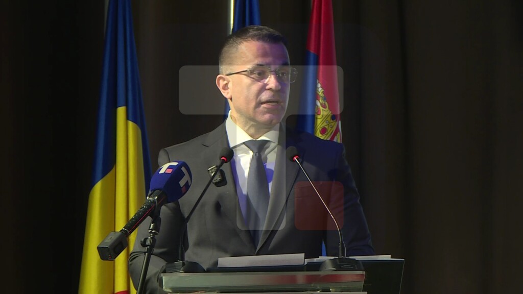 Milićević: Naša dijaspora nije posmatrač Srbije sa strane, ona je deo Srbije