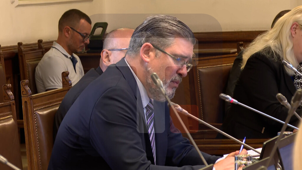 Starović: Srbiji je do sada u okviru plana rasta EU za ZB odobreno 168 miliona evra