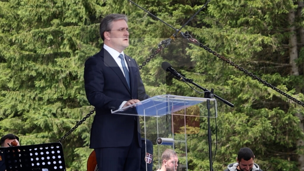Selaković: Srbija mora biti dovoljno snažna da sama donosi svoje odluke