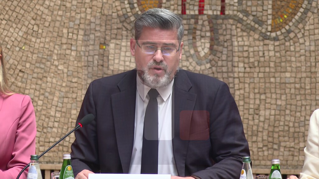 Starović: Srbjia ima prioritete u sprovođenju reformi, jedna od oblasti medijsko zakonodavstvo