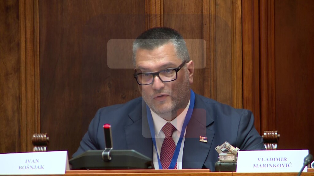 Bošnjak: Svet u kojem danas živimo zahteva više zajedničkog rada i partnerstava