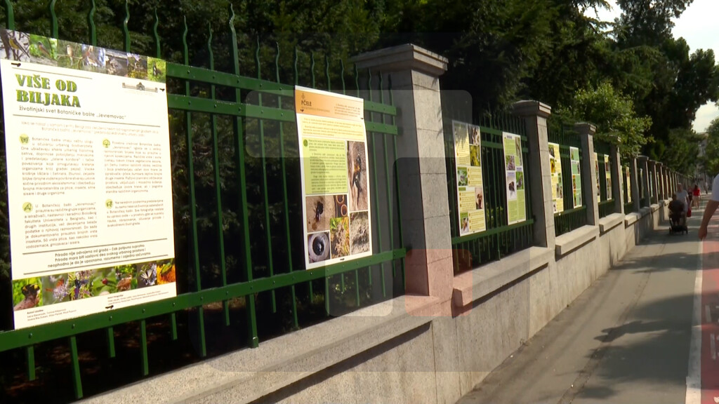Izložba „Više od biljaka: životinjski svet Botaničke bašte”