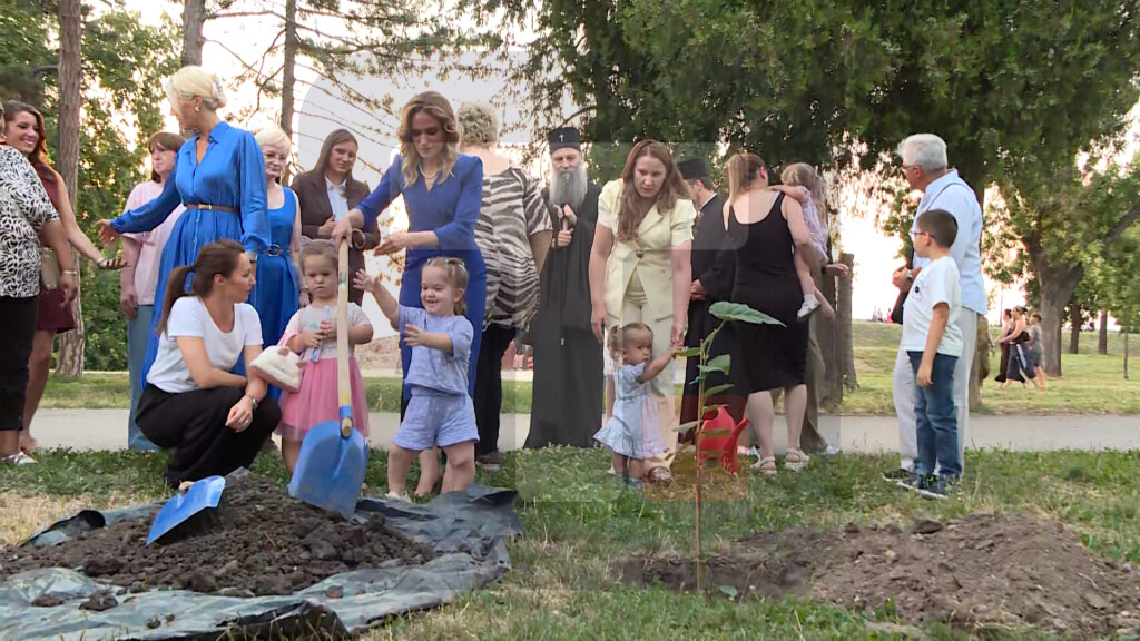 Zasađeno Drvo zahvalnosti – lipa, kao simbol zajedništva, solidarnosti i podrške porodicama