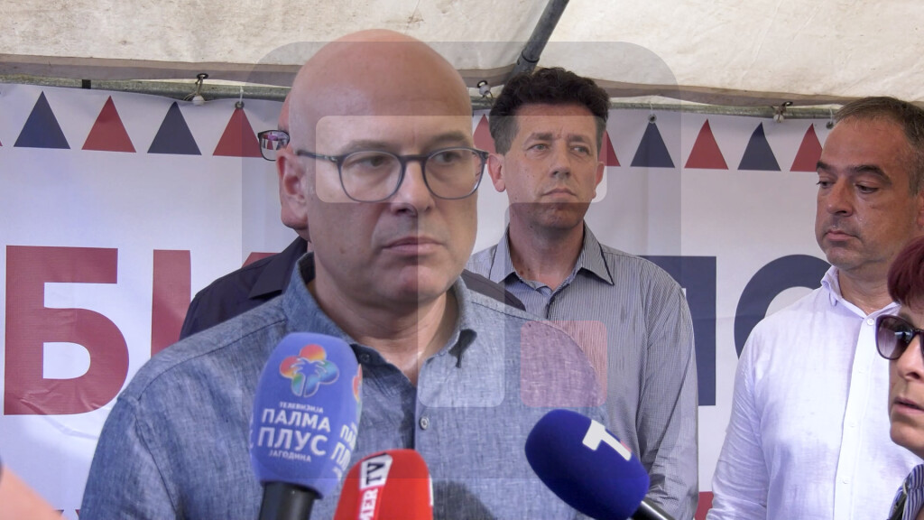 Vučević: Srbija je iznad svih nas, bez obzira na političke razlike, bez obzira na pripadnost različitim političkim opcijama