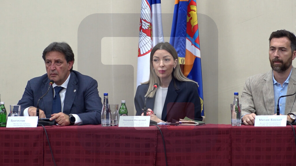 Mesarović: U Srbiji ne postoje veće oscilacije kad je u pitanju stopa nezaposlenosti