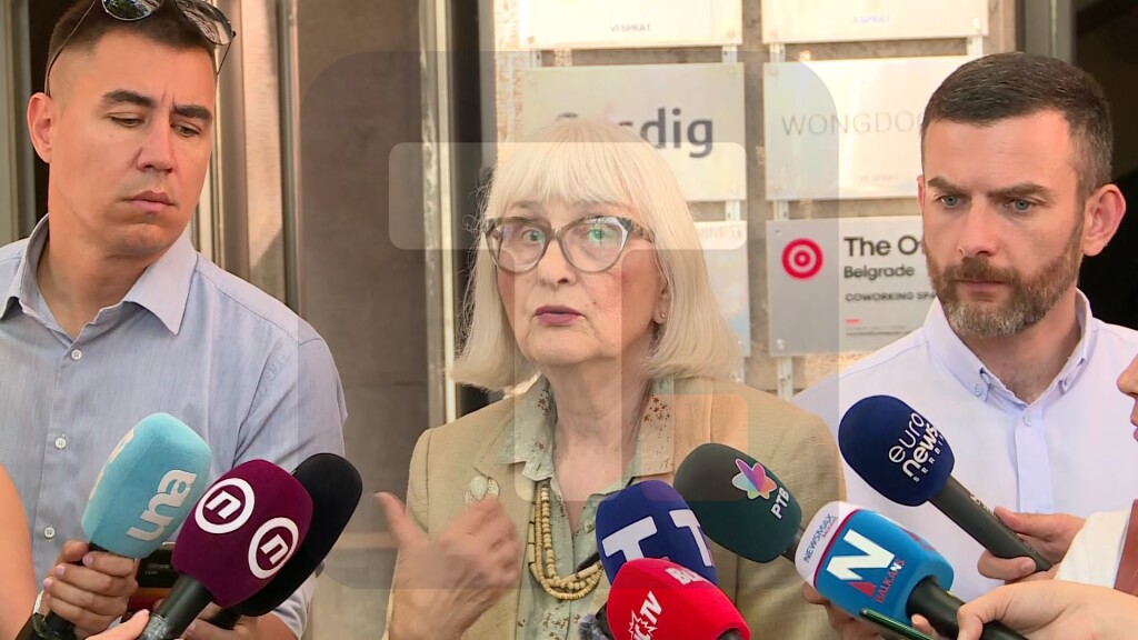 Valić Nedeljković: Mi ćemo morati da radimo i preko leta, iako po pravilniku Savet prestaje sa radom 15. jula i počinje 1. septembra