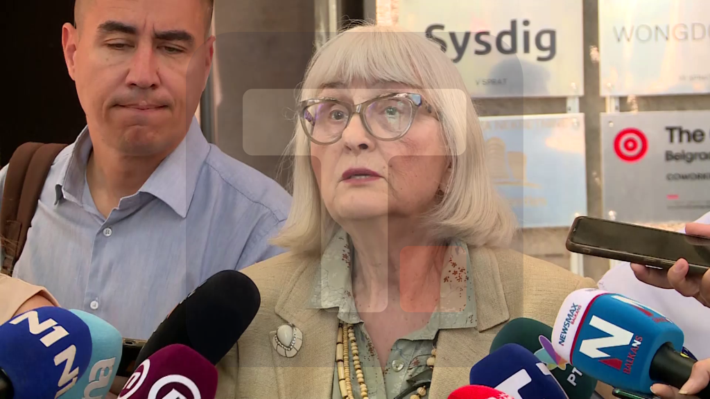 Valić Nedeljković: Mi smo zajednički doneli odluku da predsednik ili predsednica moraju biti vrlo brzo izabrani, zato što ima toliko nerešenih problema