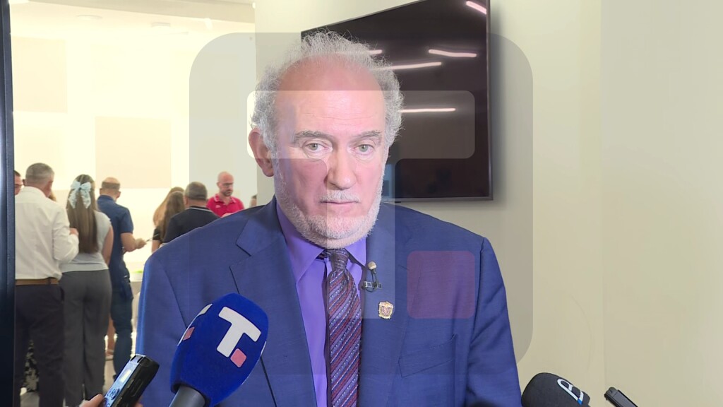 Marinović: Broj predmeta višestruko porastao u prethodnih sedam godina