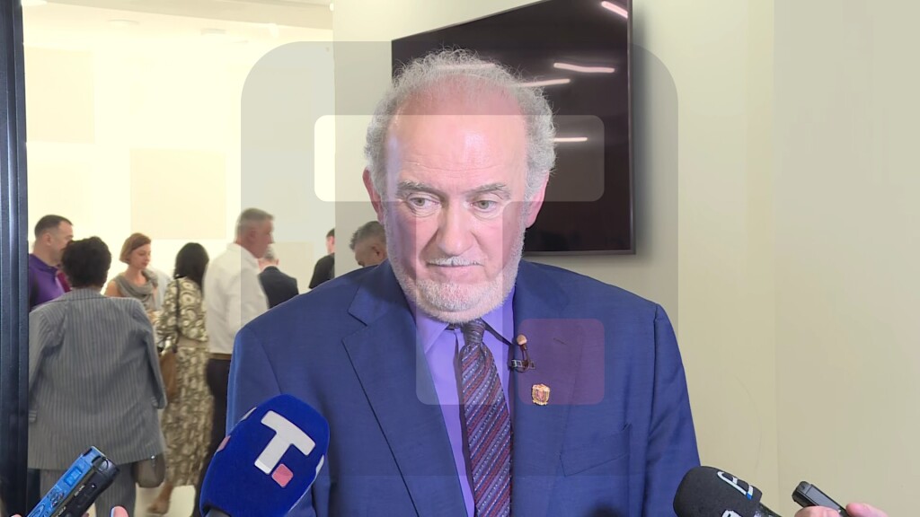 Marinović: Ćutanje uprave razlog zbog kog smo tražili da dobijemo mogućnost da izričemo kaznu u vidu prekršajne prijave
