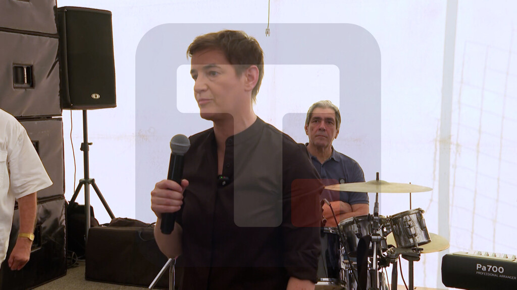 Brnabić: Glasamo za Srbiju, za normalnu Srbiju