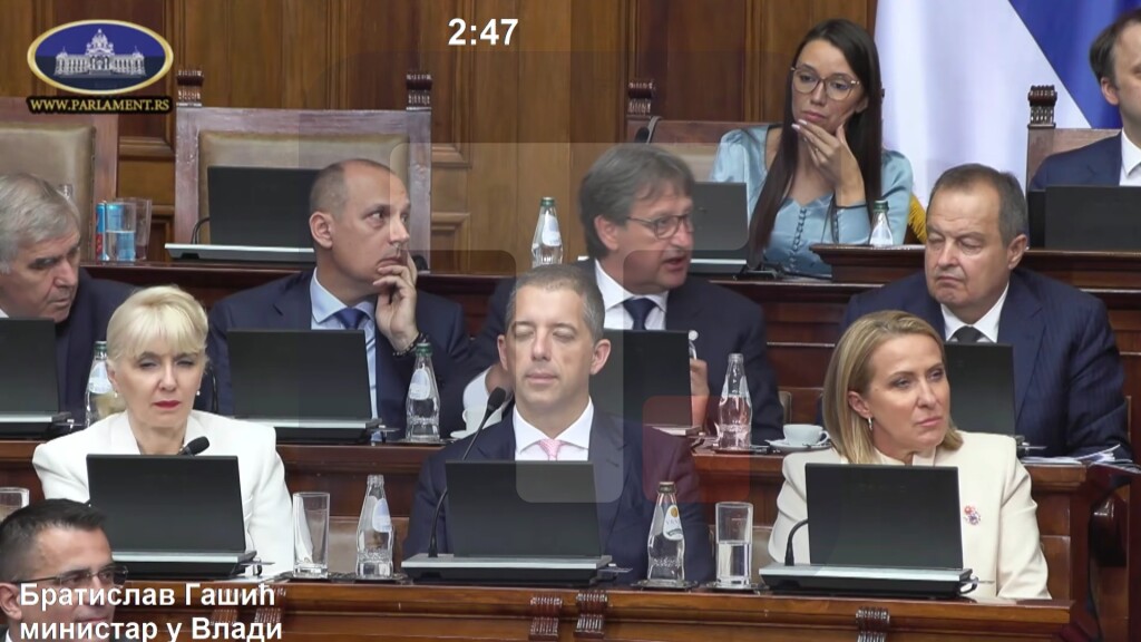 Gašić: SNS im smeta, jer u Velikoj Drenovi okupi više ljudi nego oni u Rasinskom okrug