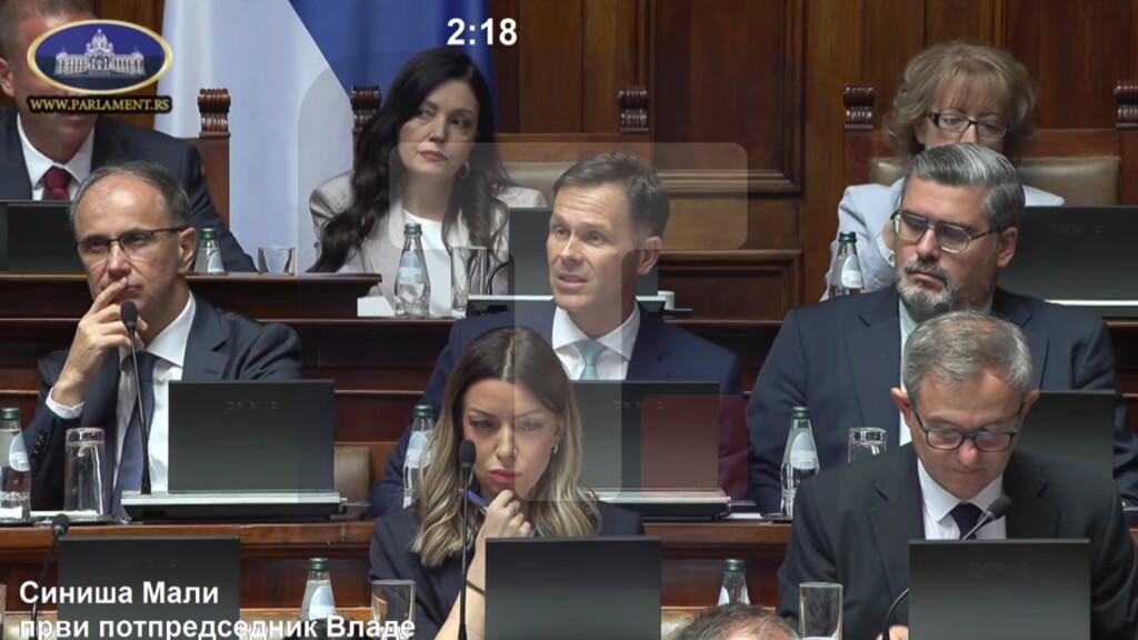 Mali: Aleksić se predstavlja kao brižna osoba, a zapravo je mahinator