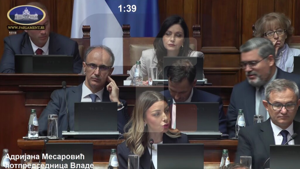 Mesarović: U vreme bivše vlasti, Srbija doživela ekonomski kolaps, koruptivne privatizacije