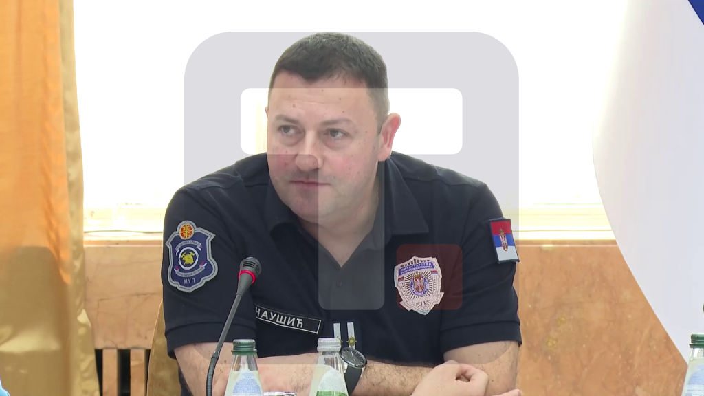 Čaušić: Došli smo do tog nivoa spremnosti da pomažemo Španiji i Francuskoj u gašenju požara
