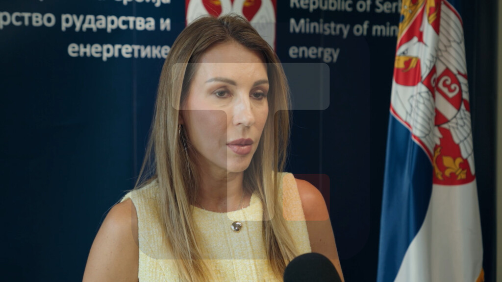 Đedović Handanović: Državi je cilj da sve pumpe budu redovno snabdevene, male i velike, kupci NIS-a, kao i druge naftne kompanije koje posluju u Srbiji