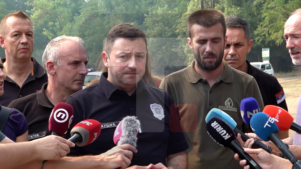 Čaušić: Ovde je bilo nekih ogromnih požara, ali ovo je nešto što je nezapamćeno