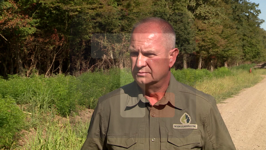 Stankov: U lovištu "Kupinovo" obustavljen je lov na 60 dana