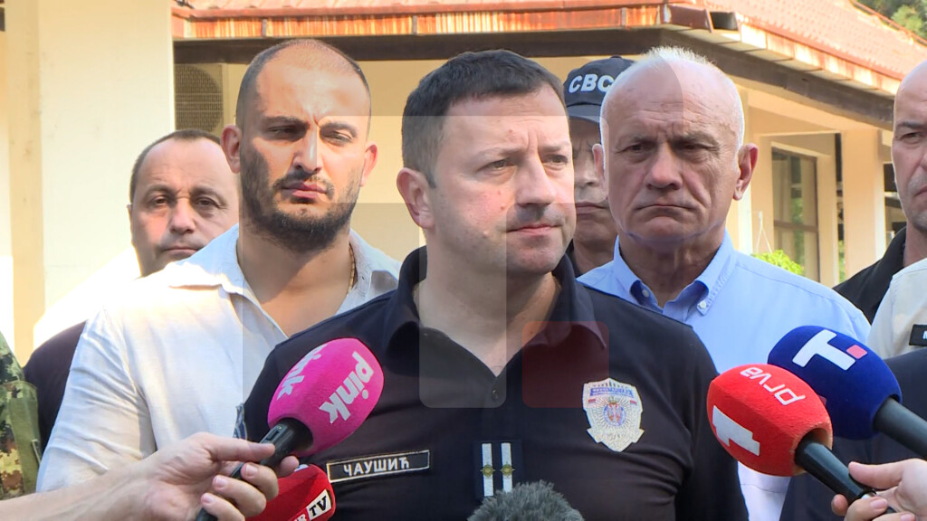 Čaušić: Trenutno imamo požare gotovo u svakom delu naše zemlje
