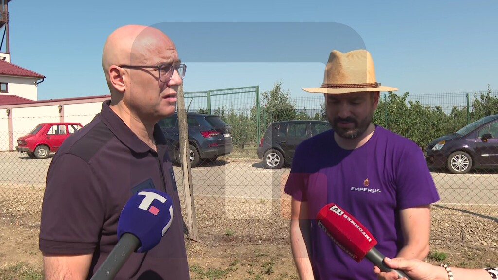 Vučević: Šljiva je rekordno rodila, prelepi plodovi
