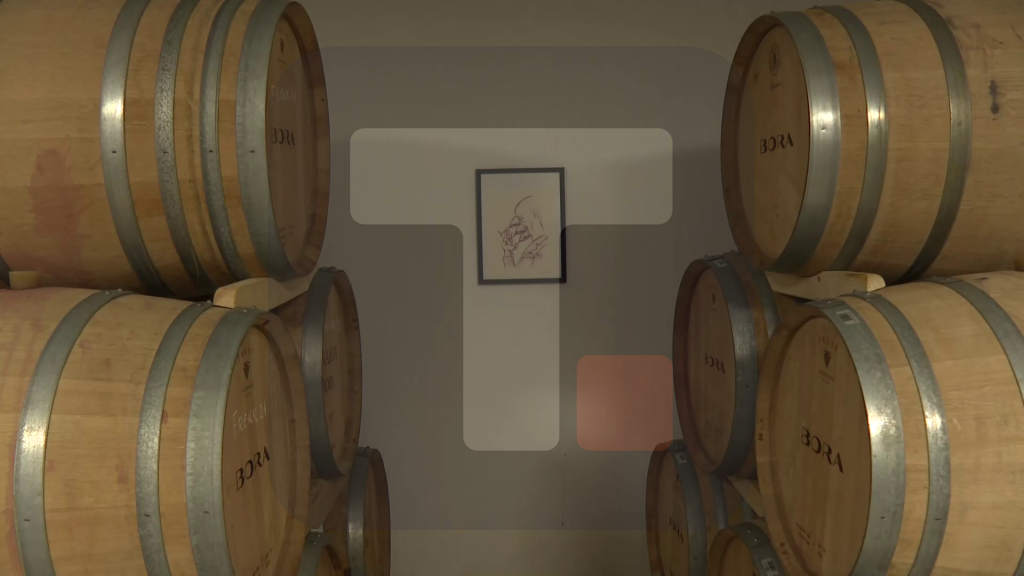 Vučić obišao vinariju Bora kod Rekovca