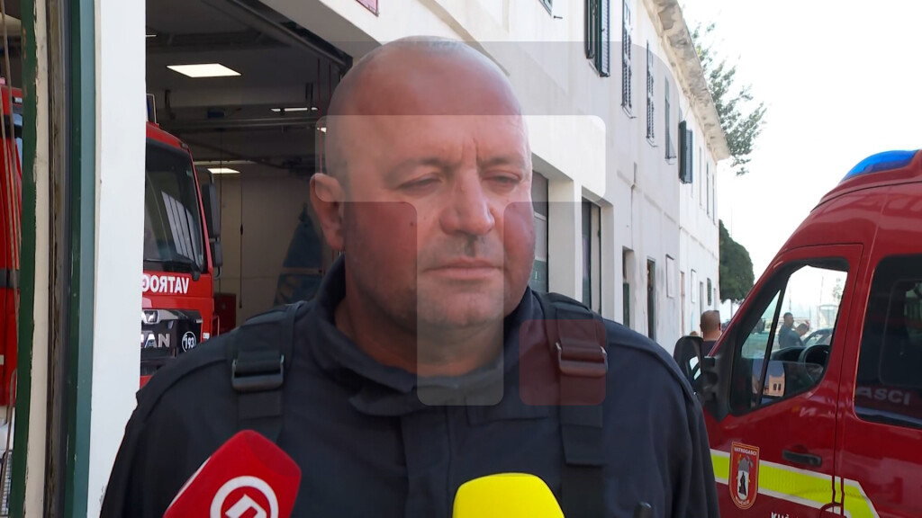 Pešić: Za kratko vreme izgorelo je oko 1.000 hektara