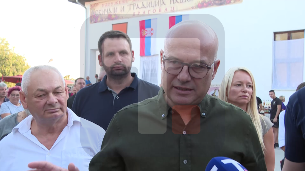 Vučević: Narod će odlučiti na izborima, ali sam siguran da se neće podržati "politiku" koja se zasniva na nasilju