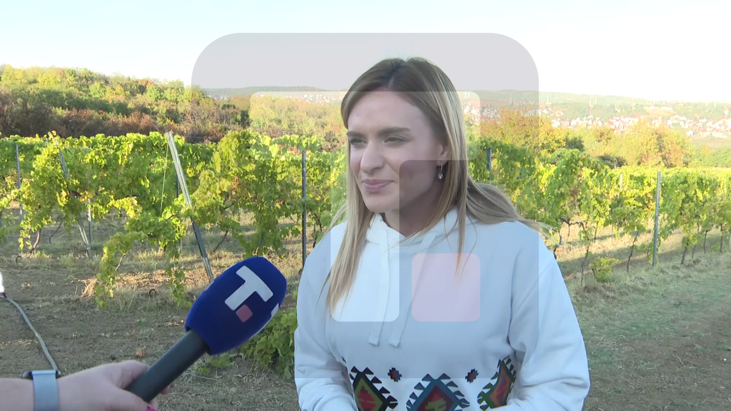 Stamenkovski: Ponosna sam što smo uspeli da usvojimo zakon o roditeljima negovateljima